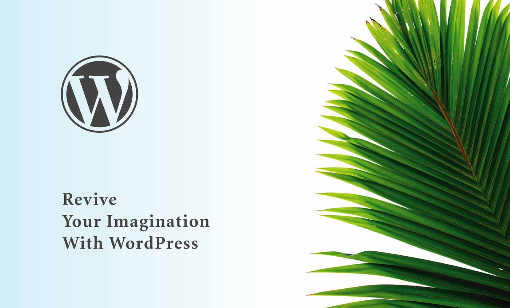 Why WordPress Is Still Popular in the Dynasty of Web Development